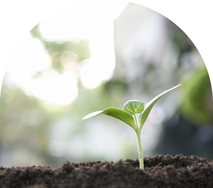 Libera（リベラ）